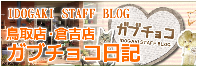 ガブチョコ日記