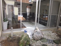 20150716m105.jpg