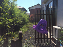 20151116bbqk03.jpg