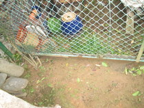 20160605m404.jpg