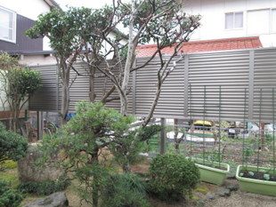 20160605m407.jpg