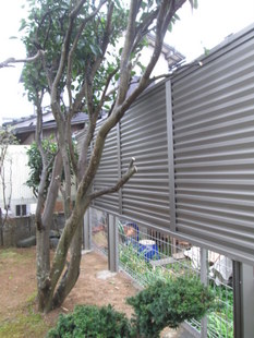 20160605m409.jpg