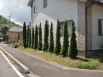 201609191003.jpg