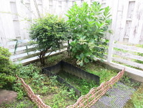 20160919904.jpg