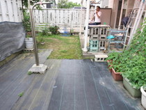 20160919906.jpg