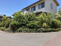 2102604HMN2.jpg