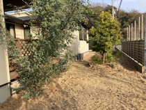 2102606UYS1.jpeg